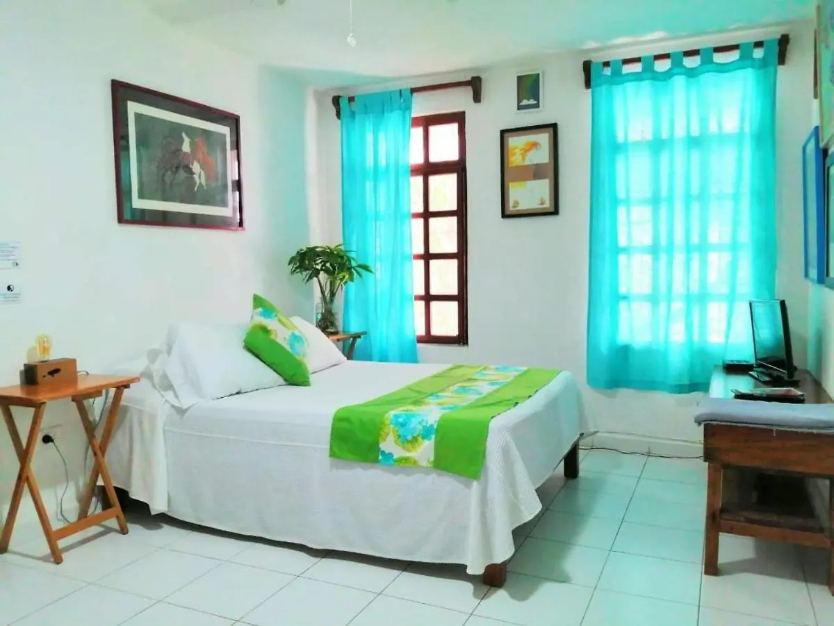 Cozy Room - Cancun Downtown